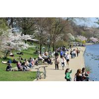 1380_2728 Promenade an der Hamburger Binnenalster im Frühling. | 